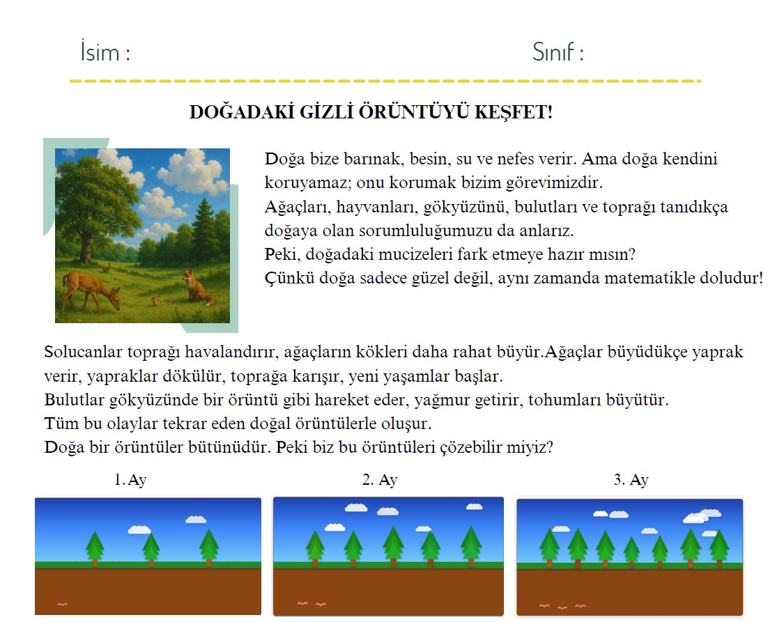 5.1.1 Görsel